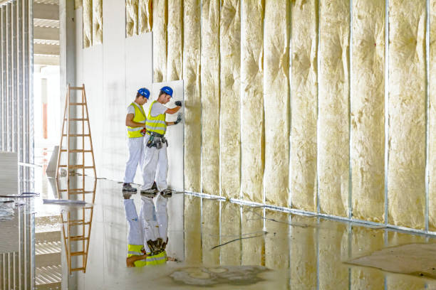 Best Insulation Installation Services in Kingman, KS